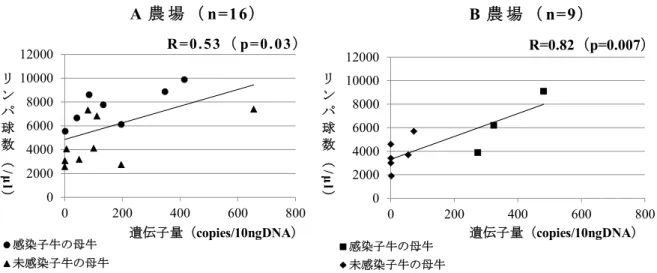 図 ４   A 農 場 及 び B 農 場 の リ ン パ 球 数 と BLV 遺 伝 子 量 の 相 関 関 係 図 ５   A 農 場 及 び B 農 場 の BLV 遺 伝 子 量 の 比 較 表 ６   A 農 場 及 び B 農 場 の 母 牛 全 体 の リ ン パ 球 数 及 び BLV 遺 伝 子 量 の 比 較 農 場   リ ン パ 球 数 （ /µl）   遺 伝 子 量 （ copies/10ngDNA）   平 均 値   ±SD  中 央 値   平 均 値   ±SD  中 央