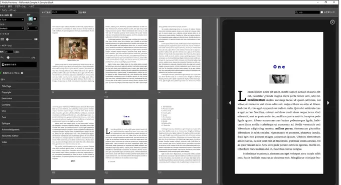 図 4: Kindle Previewer のワークスペース (Windows) 