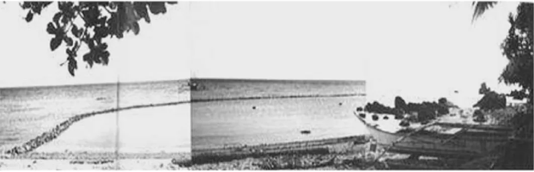 Fig.  1.  Atob  in  Tinigbas,  Panay  Island,  Central  Philippines