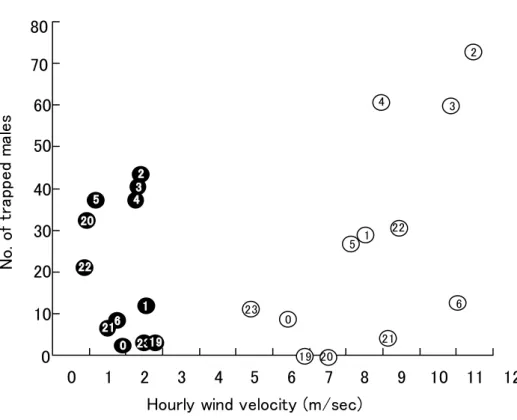 Fig. 4  Correlation between the number of hourly trapped male and wind velocity in each hour during the  night before typhoon approached （4-5, September 2005; ○）　 and the next night after typhoon passed  （7-8, September 2005; ●)