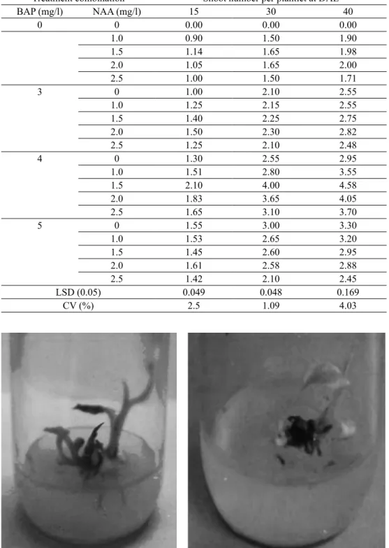 Table 1. Combined effect of different concentrations of BAP and NAA on shoot proliferation of banana  plantlet cv