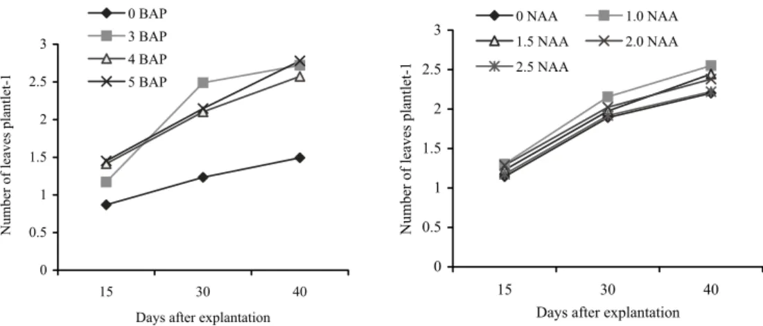 Fig. 3. Effect of different concentration of BAP and NAA on number of leaves of banana plantlet cv