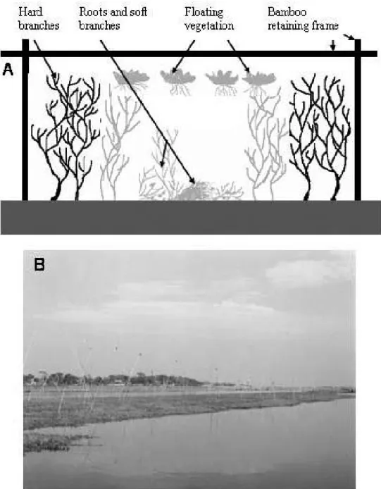 Fig. 2. (A) construction of generalized brush park showing the different elements. (B)