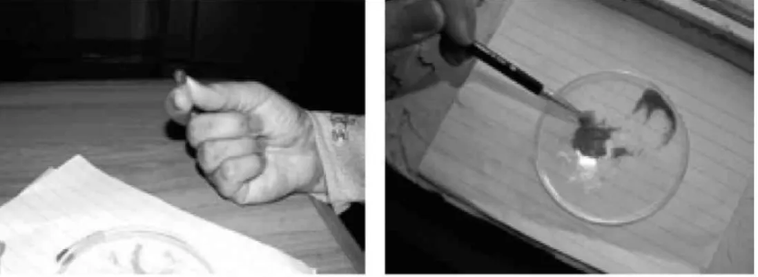 Fig. 1 (Left). A medium size capsule made of hard gelatin used as  rearing unit for C
