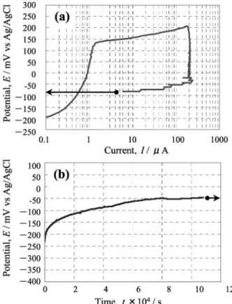 Fig. 12 Appearance of a crack after cathodic charge test.