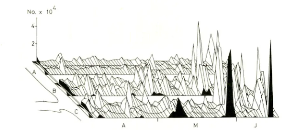 Fig. 8 shows that in all three areas (A, B, and C) the lowest catches were obtained during the first half of the night (from 1800-2400h) and larger catches were taken during the second half of the night (from 2400-600h)