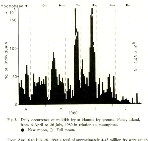 Fig. 3. Daily occurrence of milkfish fry at Hamtic fry ground, Panay Island, from 6 April to 26 July, 1980 in relation to moonphase.