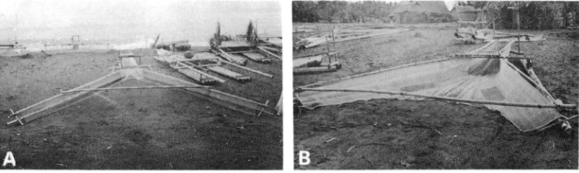 Fig. 6. Two variations of mobile fry collection gear BAKA-BAKA (fry sweeper) (A) with broader but shallower wings for the use in calm days and (B) with narrower but deeper wings for rough days.