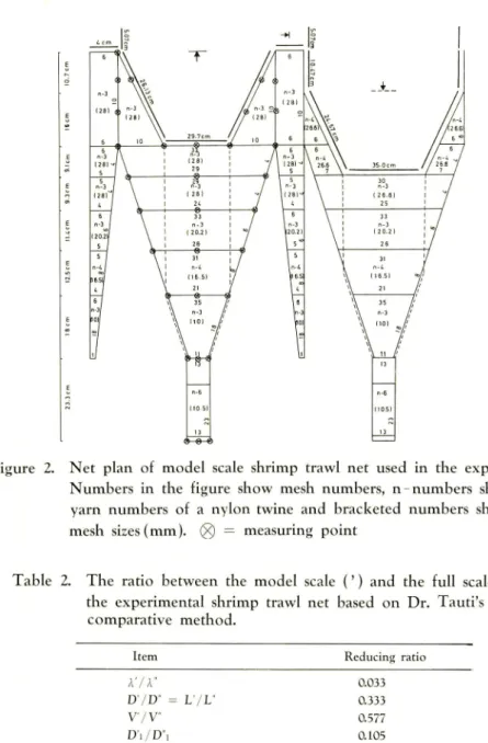 Figure 2. Net plan of model scale shrimp trawl net used in the experiment.