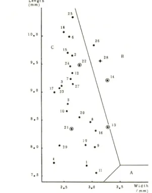 Fig. 1. Relation between length and width of unhusked grains in mm. Vertical axis; length of grain, abscissa ; width of grain