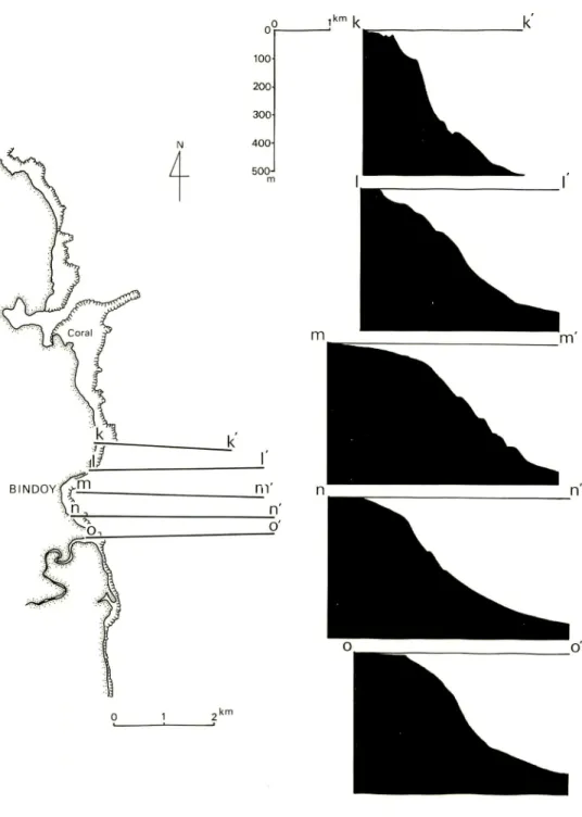 Fig. 5. Map showing the lines of echo - sounding and the bathymetric cross sections showing rapid and step-like deepening of bottom topography off Bindoy.