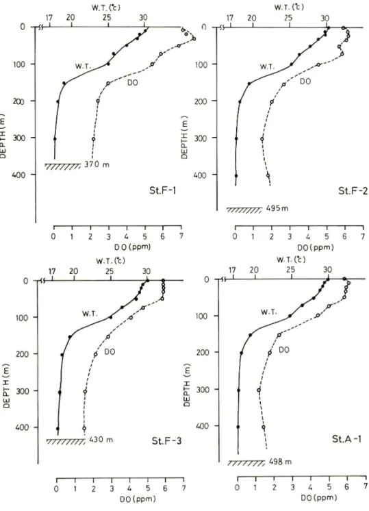 Fig. 7. Vertical distribution of water temperature and dissolved oxygen