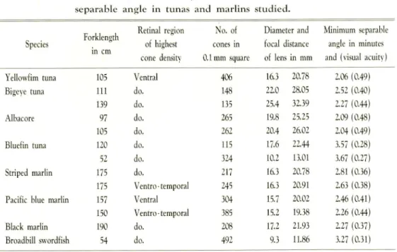 Table 3. 1. Size of fish, cone density, focal distance of lens, and minimum separable angle in tunas and marlins studied.