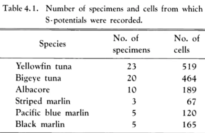 Table 4.1. Number of specimens and cells from which S-potentials were recorded.
