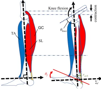 Fig. 2-3: Example of equipment dynamics