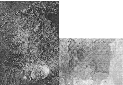Figure  5.  Left:  Large  cavern  decorated  with  speleothems  inside  Akasaki  Cave  (Source:  Idemura  1973)