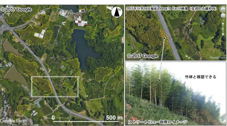 図 2-6 は Google Earth で作成した⽵林分布図です。Google Earth のポリゴン作成 機能を使って、⽵林と判読した箇所を囲んでいきます。また、Google Earth のスト リートビュー機能（地表⾯レベルの 360 度の⾵景（写真）を確認できる）により判 読の正誤確認ができます。ただし、Google Earth 画像とストリートビュー画像の撮 影⽇は同⼀ではなく、タイムラグがあることに注意が必要です。  （上森真広）  図 2-6  Google Earth による⽵林判読事例とス
