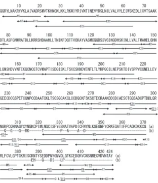 Fig. 6.  Summary  of  sequence  determination  of  brevilysin H2. Peptides derived from digestions  of  PE-H2  with  Lys-C  (K),  Asp-N  (D),  Arg-C  (R),  and  BrCN  (M)  are  shown  below  the  sequence