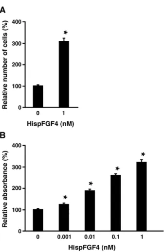 Fig. 2.   Expression of FGFR2 transcripts in PEF SV40 cells. The expression of FGFR2 transcripts in PEF SV40 cells was analyzed  qualitatively by PCR using cDNA (with reverse transcriptase reaction,  +RT) as a template and RNA prepared from the cells as a 