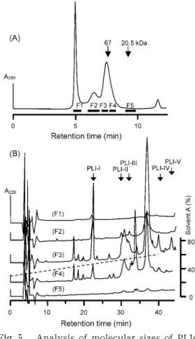 Fig.  5 .   Analysis  of  molecular  sizes  of  PLIs. 