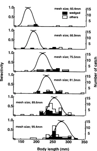 Fig. 4. Calculated selectivity curves of six meshes of experimental gillnet for G.