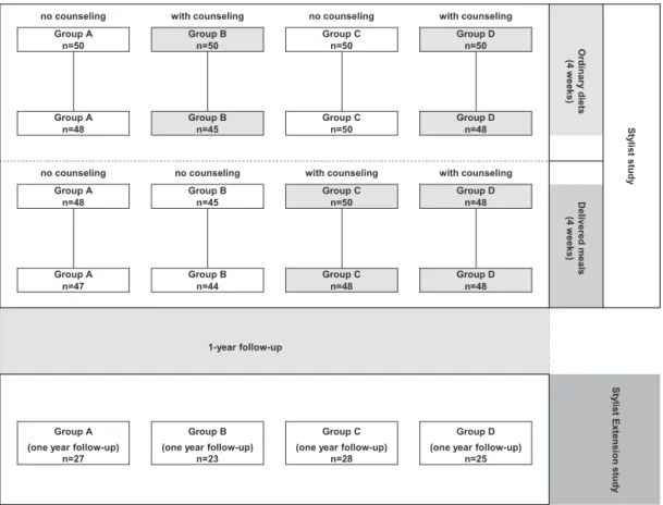 Fig. 1  Flow chart for the participants in the preceding STYLIST study and the STYLIST EXTENSION study.