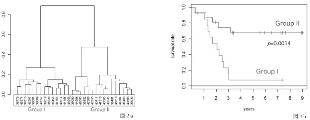 表 2  Result of gene expression analysis.