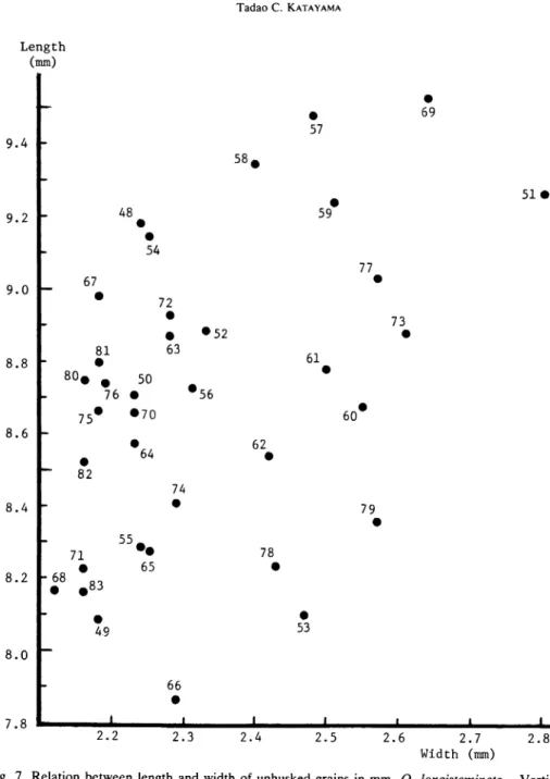Fig. 7. Relation between length and width of unhusked grains in mm, O. longistaminata