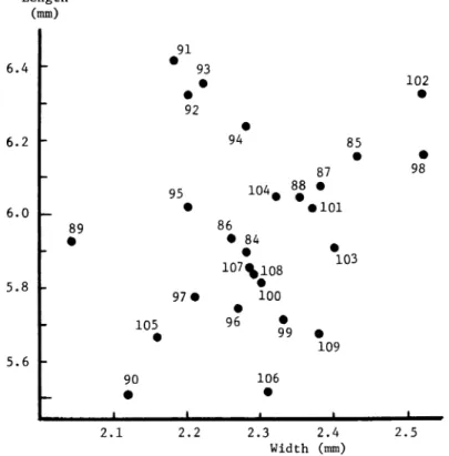 Fig. 8. Relation between length and width of unhusked grains in mm, O. punctata. Vertical axis;