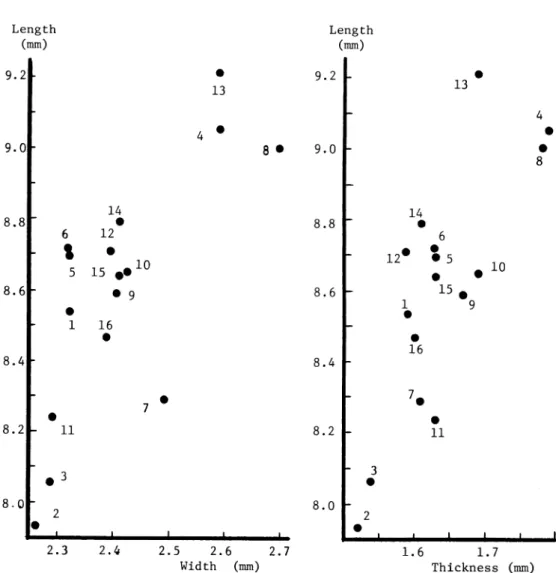 Fig. 2. Relations between length and width (left) and length and thickness (right) of unhusked grains in mm, O