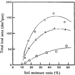 Fig. 4. Relationship between the soil moisture ratio and total leaf area at the time of harvest.