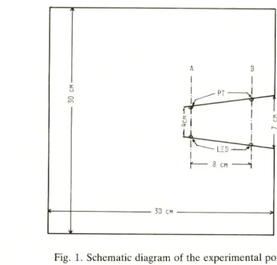 Fig. 1. Schematic diagram of the experimental pot.