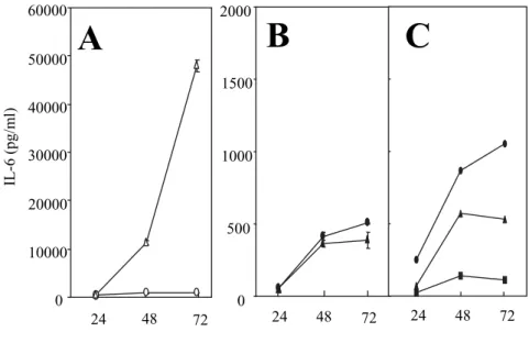 Fig. ２. Kinetics  of  IL  ６ secretion  by  C. trachomatis  infected  HFLS  and  HeLa ２２９  cells. In（A）HFLS  and（B）HeLa ２２９  cells,  C