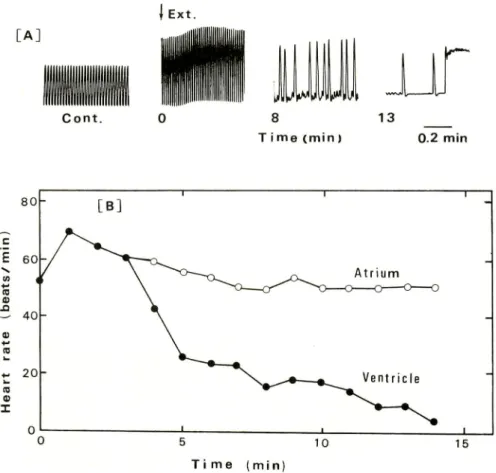 Fig. 2. Effect of the crude extracts on the isolated bull frog heart.