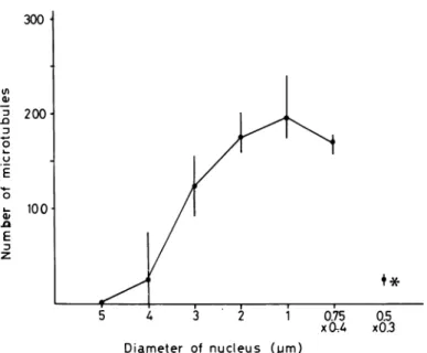 Fig. 3. Variation of the number of microtubules surrounding the nucleus of spermatid during the spermiogenesis
