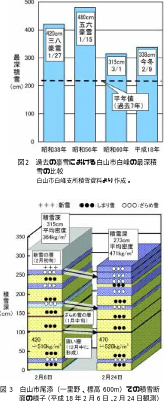 図 3 白山市尾添（一里野、標高 600m）での積雪断 面の様子（平成 18 年 2 月 6 日、2 月 24 日観測）  積雪断面中の 170cm 付近のざら め雪の層は、上下の層の様 子や気象情報の参照によ っ て 1 月中旬の気温の上昇し た時 期に形成さ れた層であるこ と がわかる。また、100cm 付近よ り 下部に 12 月に形成さ れた固く 重い雪の層がある。  図 2 過去の豪雪における白山市白峰の最深積雪の比較 白山市白峰支所積雪資料よ り 作成。  過去の豪雪と今回の豪雪  豪雪といえ