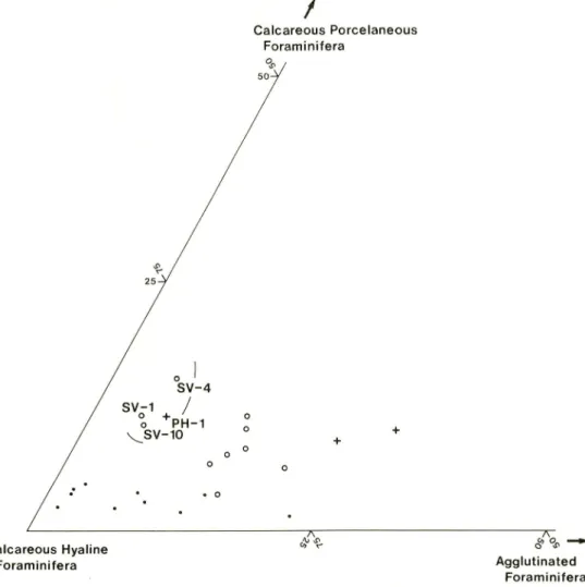 Fig. 3. Triangular diagram of the ratios of the three kinds of benthonic foraminiferal tests in each sample (o : stations off Suva, + : stations off Pacific Harbor, • : stations in Tafion strait, the Philippines).