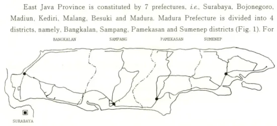 Fig. 1. Map showing constitution of Madura Island. Solid line; route of observations, dotted line;