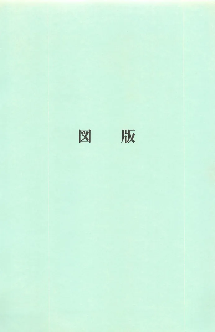 図 版