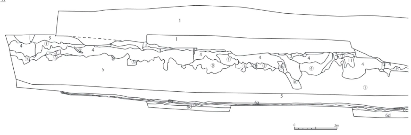 Fig. 11　１区東壁層位断面図　S=1/120