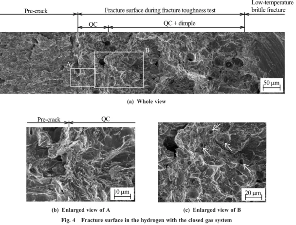 Fig. 4 　 Fracture surface in the hydrogen with the closed gas system (Oxygen content increased from 0.1 to 1 vppm during the test)