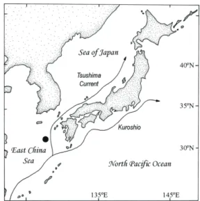 Fig.  2.  Location  (closed  circle)  of  bottom  trawling  in  the  East  China  Sea  (30°57′33″N,  127°35′85″E–31°01′00″N,  127°24′54″E), where the specimen of N