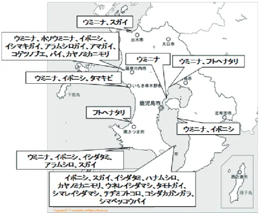 Fig. 2. Appearance of habitat distribution of snails in each river．全河川での種の採集結果．