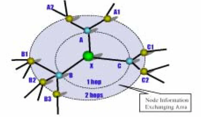 Fig. 1 The node information exchanging area  3.1.2 Criteria of Topology Optimization   