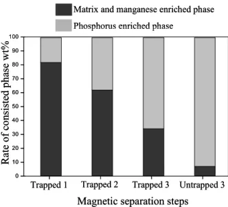 Figure 10 Rate of phosphorus enriched phase and other phase 