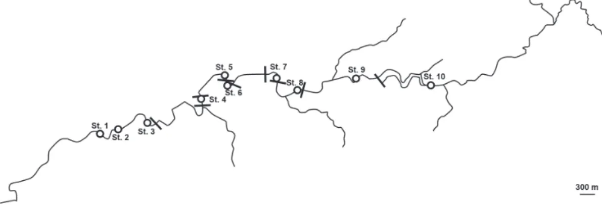 Fig. 1. Map of Yafusa River. Bars indicates river-crossing structures.