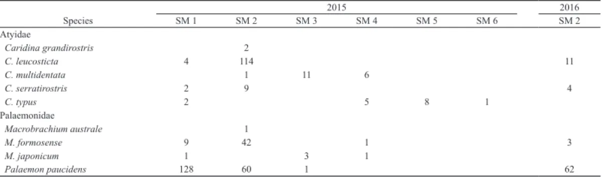 Table 1. Number of freshwater carideans collected from Shimama River.