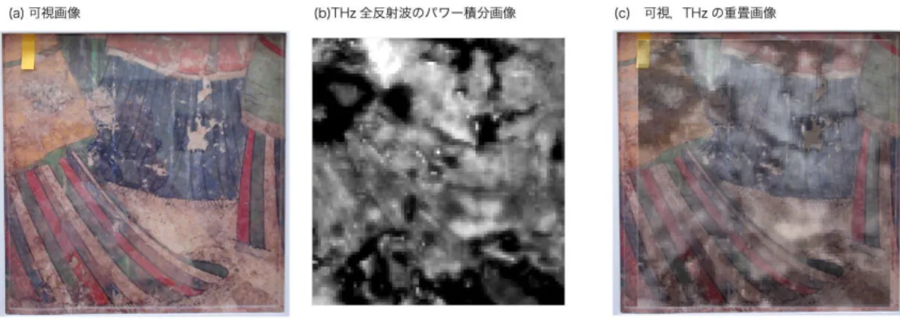 図 18 最も反射の強かった部分の THz イメージング