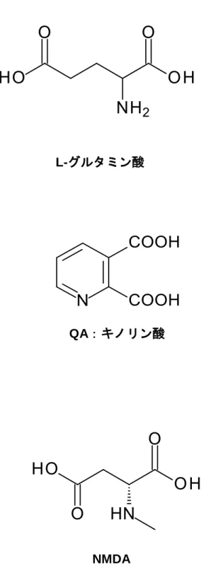 Fig. 2 NMDA 受容体のリガンド・アゴニスト構造式 