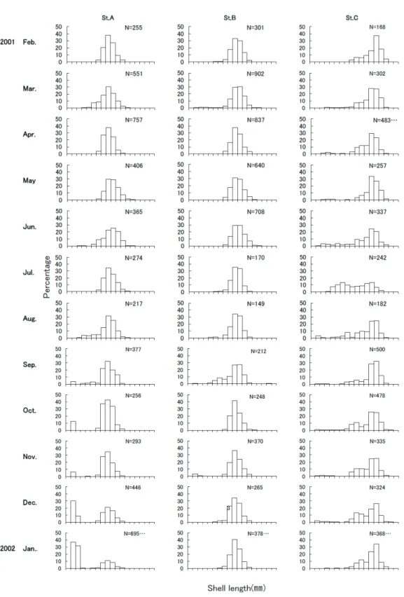 Fig. 2. Seasonal changes in size frequency histograms of Batillaria multiformis at each station.　各ステーションのおけるウミニナの殻高 分布の季節変化．横軸は殻高の長さ mm で表す．メモリは 2 mm 刻みで 0–36 mm．